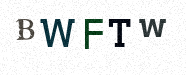 Visual Confirmation Security Code